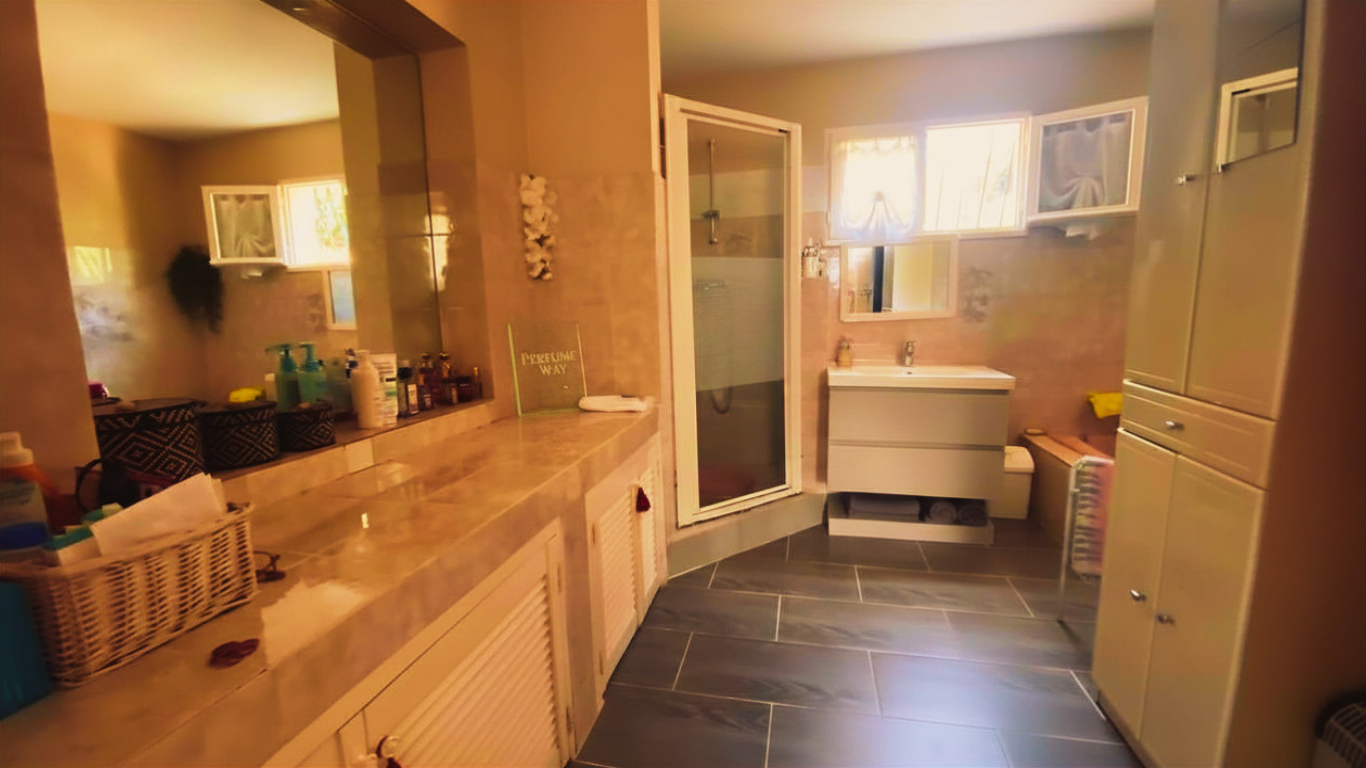 VILLA AVEC PISCINE, CARPORT, PARKINGS, ATELIERS, STUDIO AVEC JARDIN, APPARTEMENT T3 AVEC PISCINE ET JARDIN