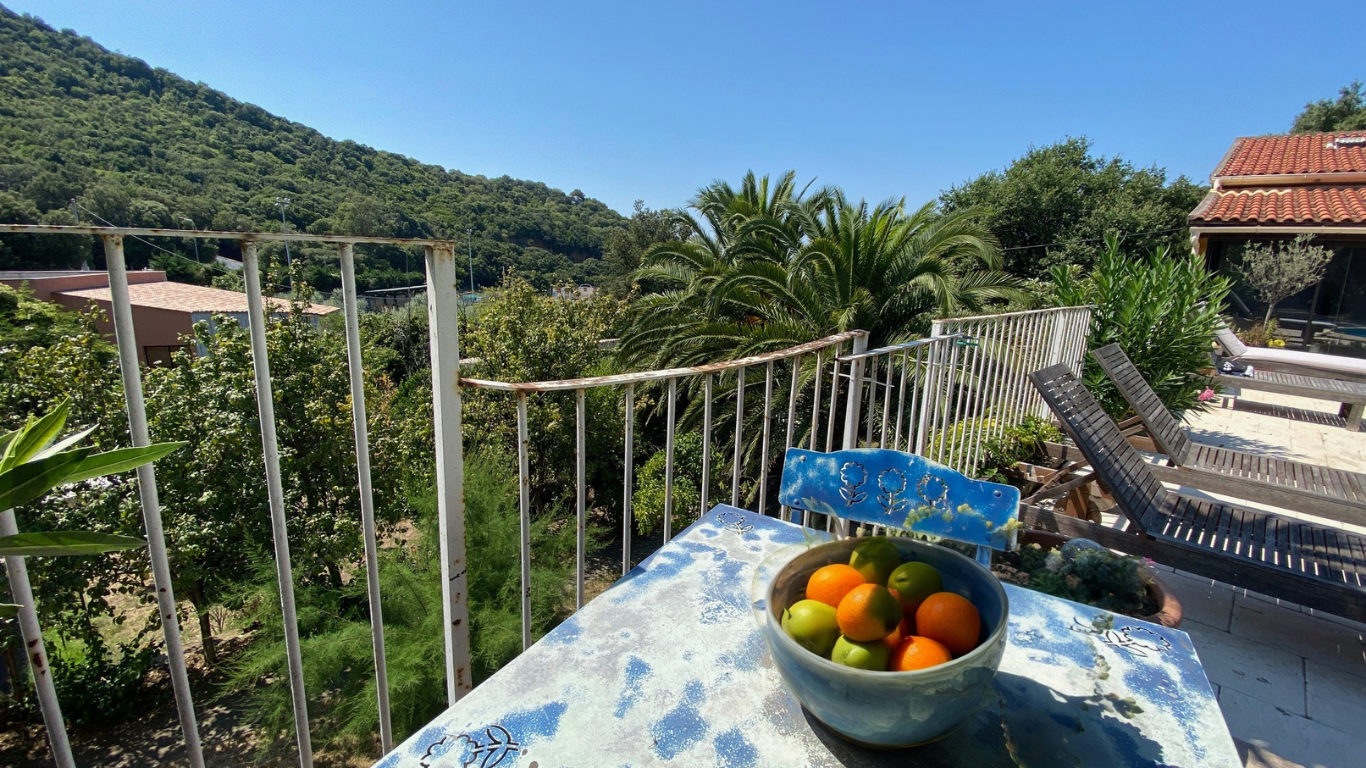VILLA AVEC PISCINE, CARPORT, PARKINGS, ATELIERS, STUDIO AVEC JARDIN, APPARTEMENT T3 AVEC PISCINE ET JARDIN