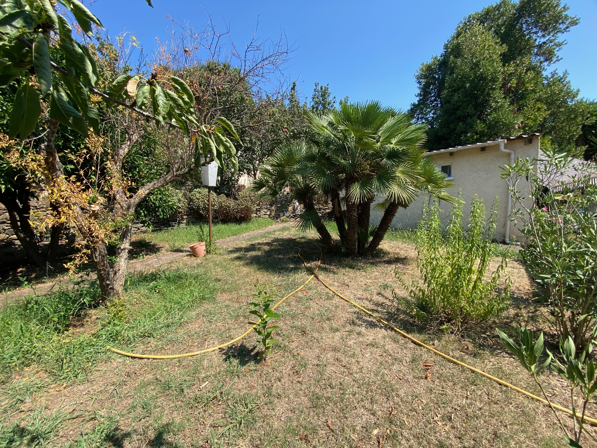 VILLA AVEC PISCINE, CARPORT, PARKINGS, ATELIERS, STUDIO AVEC JARDIN, APPARTEMENT T3 AVEC PISCINE ET JARDIN